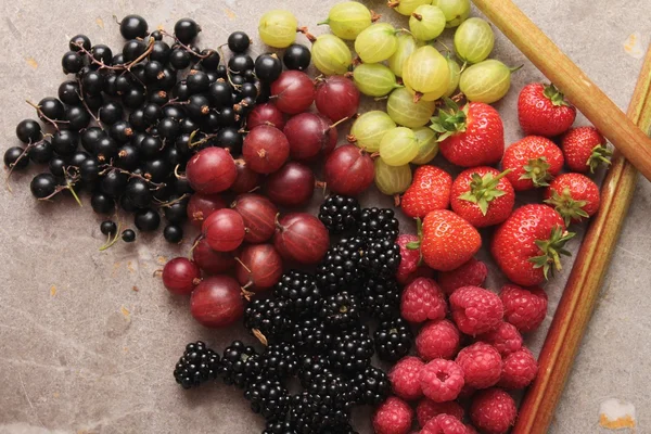 Frutas frescas de verano —  Fotos de Stock