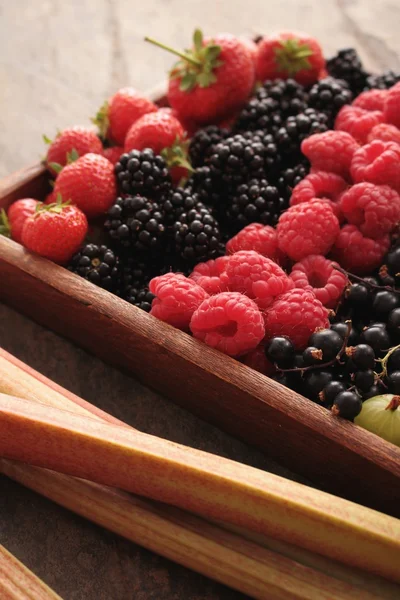 Frutas frescas de verão — Fotografia de Stock