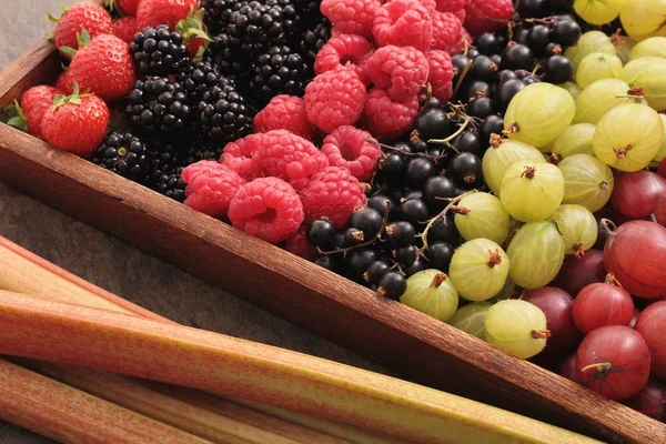 Frutas frescas de verano —  Fotos de Stock