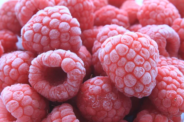 Framboesas vermelhas doces — Fotografia de Stock