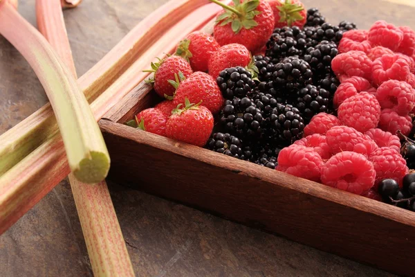 Frutas frescas de verano — Foto de Stock