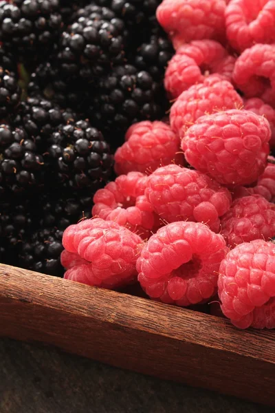 熟透的黑莓和覆盆子 — 图库照片