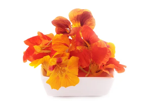 Edible flowers closeup — Stock Photo, Image