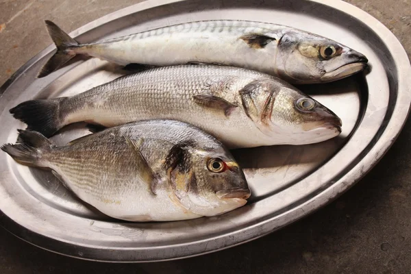 Peixe fresco no prato — Fotografia de Stock