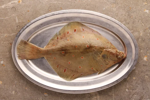 新鲜的鱼，在金属板上 — 图库照片