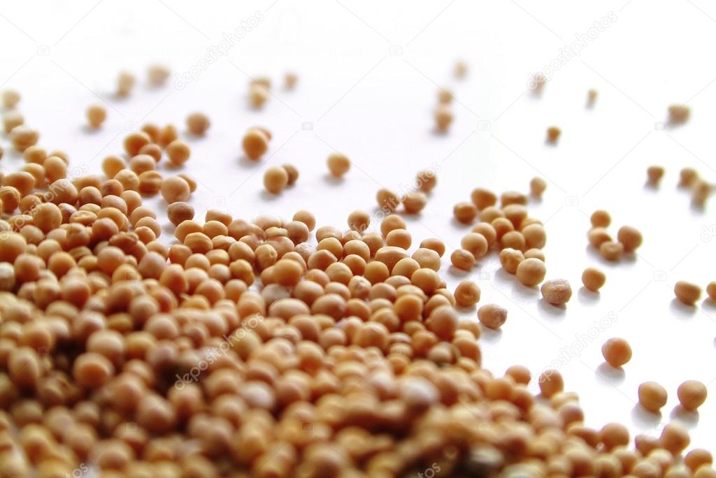 mustard seed grain