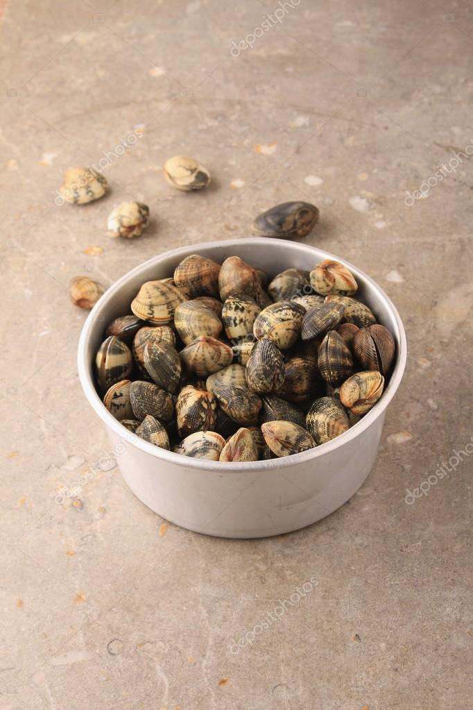 Fresh clam shelfishes in bowl — Stock Photo © neillangan 89699112