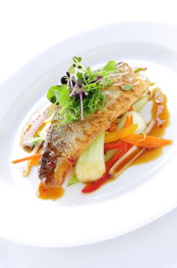 sağlıklı kaplama balık unu