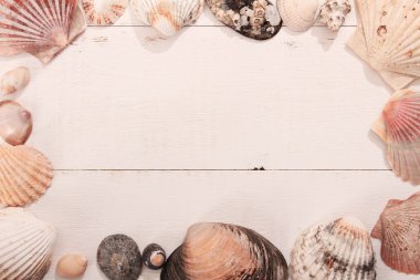 kabukları ahşap zemin üzerinde