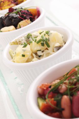 soğuk salata seçimi