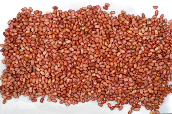 Зерна и импульсы крупным планом — стоковое фото