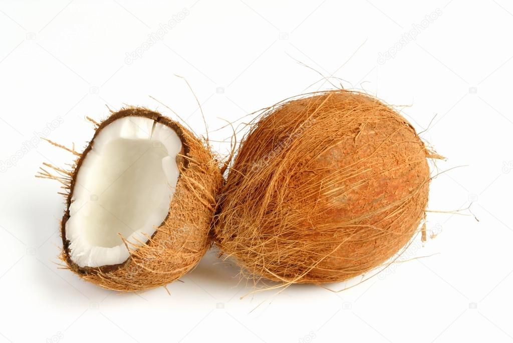coconut against white background