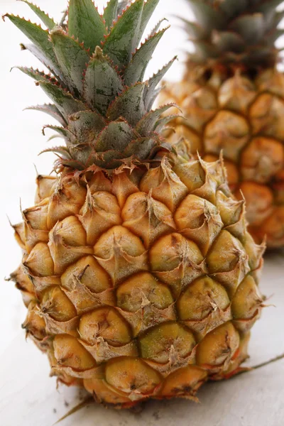 Карлик міні ананас — стокове фото