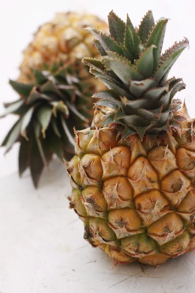 Dwarf mini pineapple Royalty Free Stock Photos