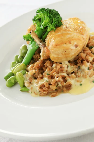 Healthy chicken plated meal with grain and vegetables — Stock Photo, Image