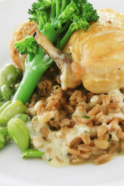 Harina de pollo saludable con granos y verduras —  Fotos de Stock