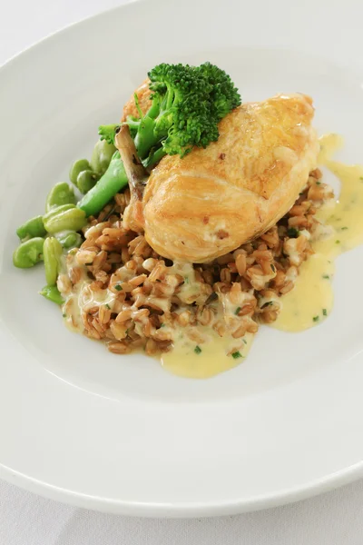 Healthy chicken plated meal with grain  and vegetables — Stock Photo, Image