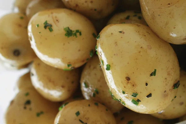 Batatas novas cozidas — Fotografia de Stock