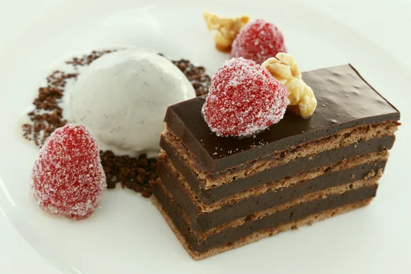 계층 초콜릿 케이크 디저트 — 스톡 사진