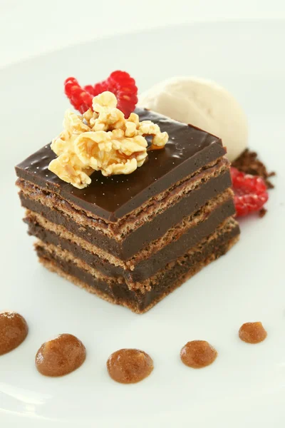 계층 초콜릿 케이크 디저트 — 스톡 사진