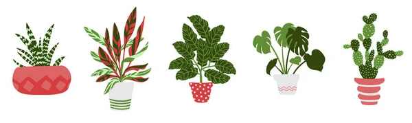 鉢の家の植物、ベクトル手描きイラスト — ストックベクタ