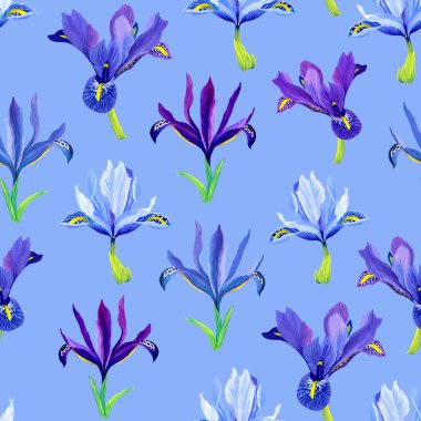 Mavi arka planda kusursuz süsen çiçekleri deseni