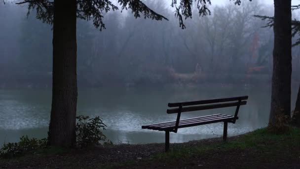 霧と湖と森の中のベンチ — ストック動画