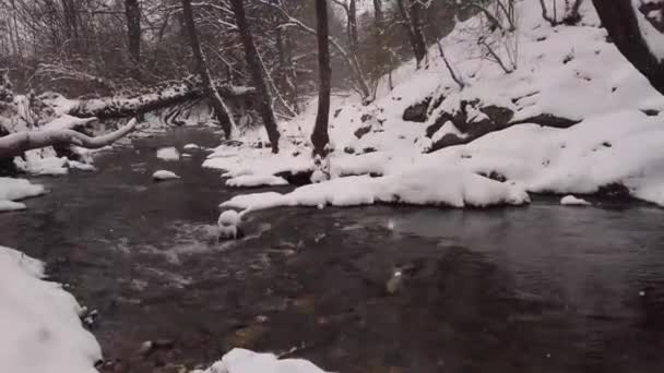 Winterfluss Mit Schnee Und Wald — Stockvideo