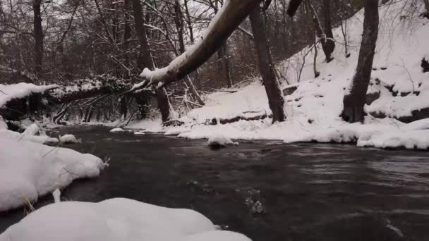 Río Invierno Con Nieve Bosque — Vídeo de stock