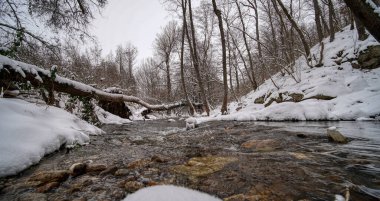 Kar ve ormanlı kış nehri