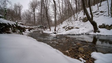 Kar ve ormanlı kış nehri