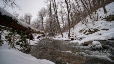 Kar ve ormanlı kış nehri