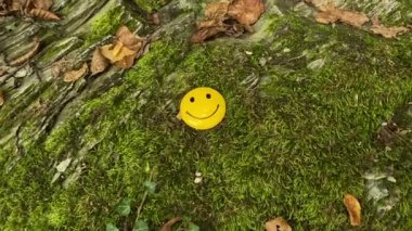 Ormanda yosunların üzerinde gülen bir yüz