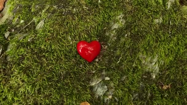 Красное Сердце Лесу Мху — стоковое видео