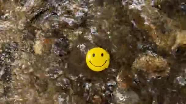 Ein Lächelndes Gesicht Klaren Wasser — Stockvideo