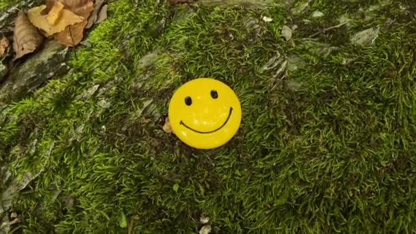 Een Glimlachend Gezicht Het Bos Mos — Stockvideo