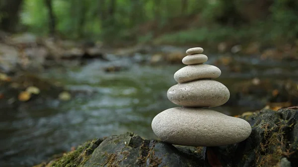 Zen Stones Water River Forest Nature Relax Background — Stock Photo, Image