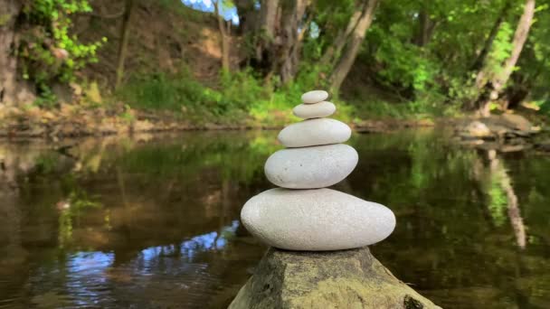 Zen Piedras Blancas Fondo Vídeo Con Río Bosque — Vídeos de Stock