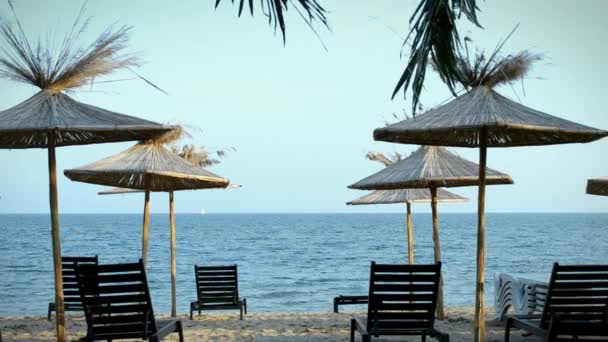 Playa con palmeras y chaise-longue — Vídeo de stock