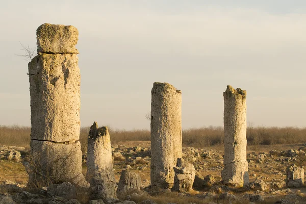 Standing Stones natural phenomenon — Stock Photo, Image