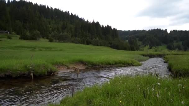 Río en la montaña — Vídeos de Stock