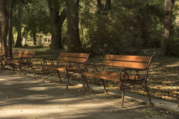 Otoño en parque con banco — Foto de Stock