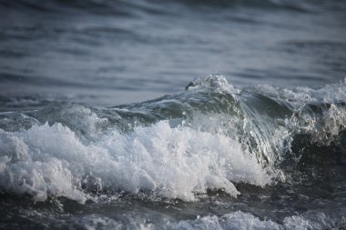 dalga köpüğü ile