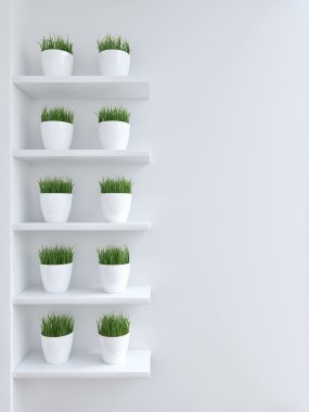 Yeşil çim beyaz duvar saksı