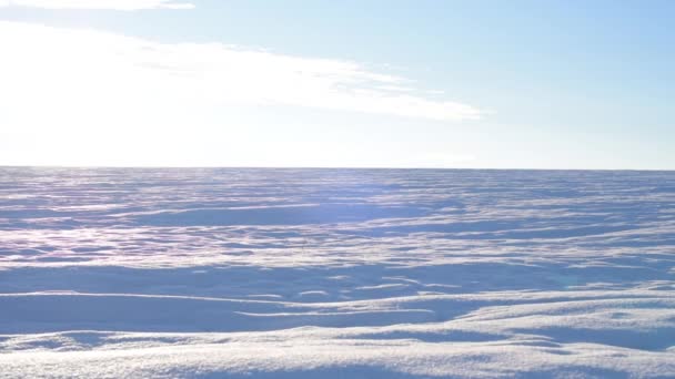 Panorama śniegu w zimie — Wideo stockowe