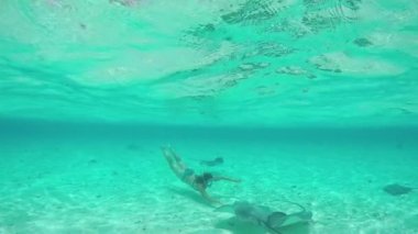 SLOW MOTION: Young woman swimming underwater with friendly stingray rays