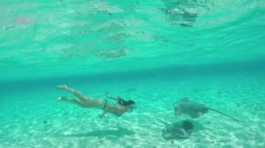 SLOW MOTION: Young woman swimming underwater with friendly stingray rays