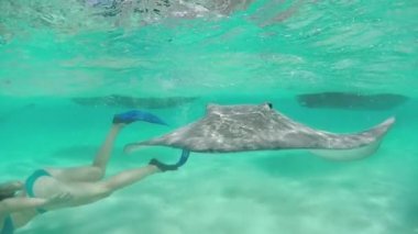 SLOW MOTION CLOSE UP: Petting and caressing curious stingray