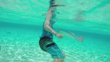 Ağır çekim: stingrays ve köpekbalıkları ile sualtı dalış genç adam