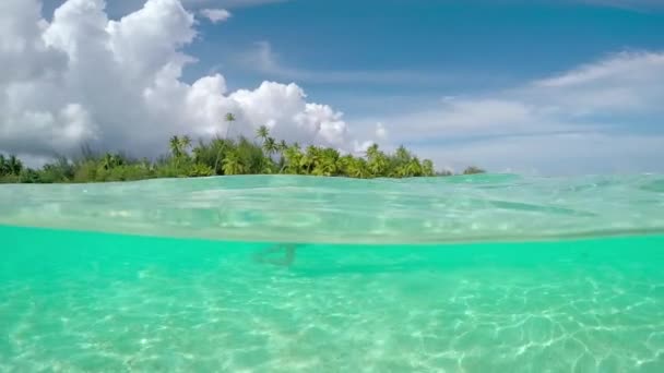 Junge Frau schwimmt auf tropischer Insel in fantastischem Ozean — Stockvideo